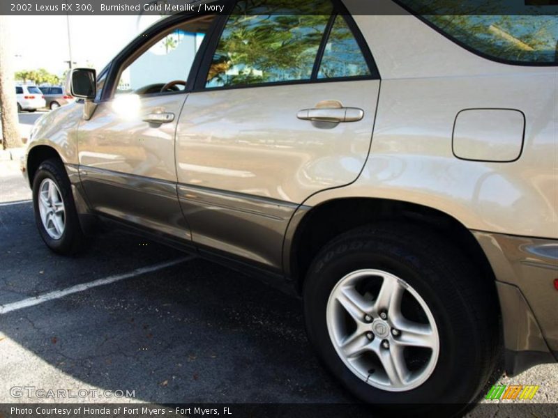 Burnished Gold Metallic / Ivory 2002 Lexus RX 300