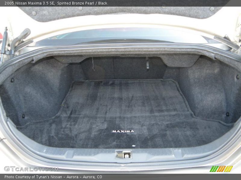 Spirited Bronze Pearl / Black 2005 Nissan Maxima 3.5 SE