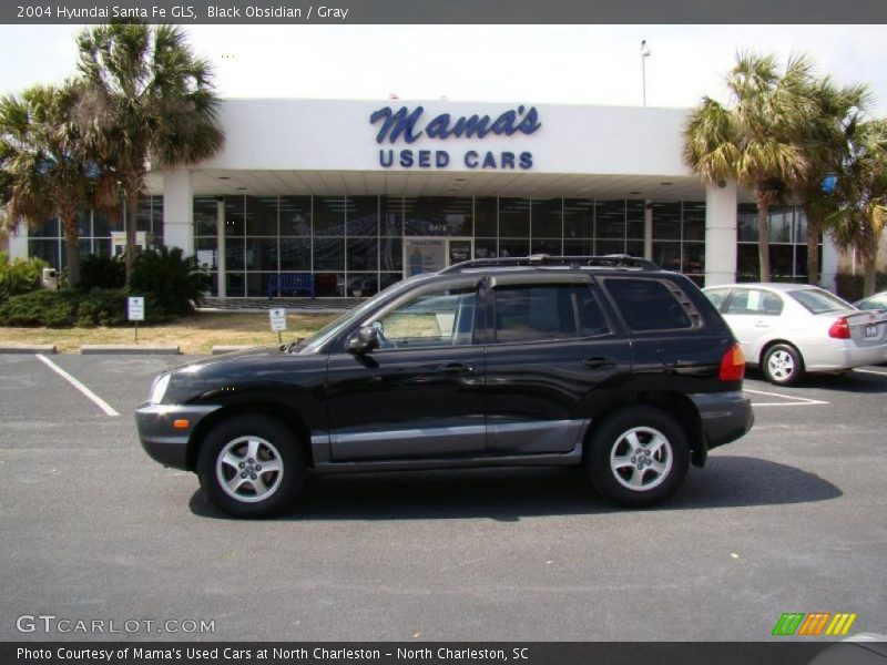 Black Obsidian / Gray 2004 Hyundai Santa Fe GLS