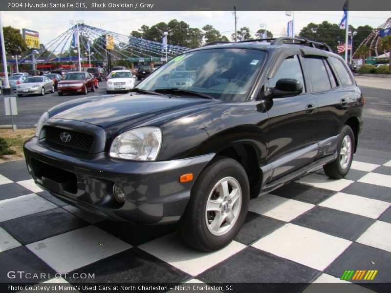 Black Obsidian / Gray 2004 Hyundai Santa Fe GLS