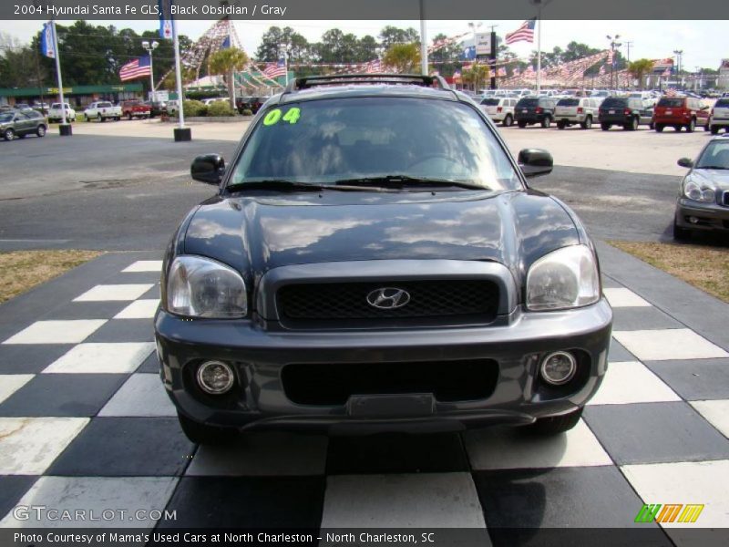 Black Obsidian / Gray 2004 Hyundai Santa Fe GLS