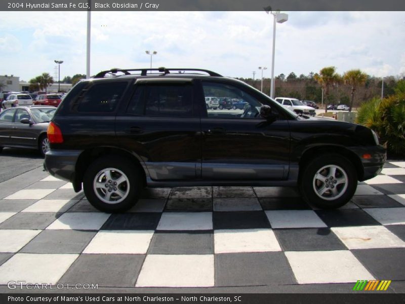 Black Obsidian / Gray 2004 Hyundai Santa Fe GLS