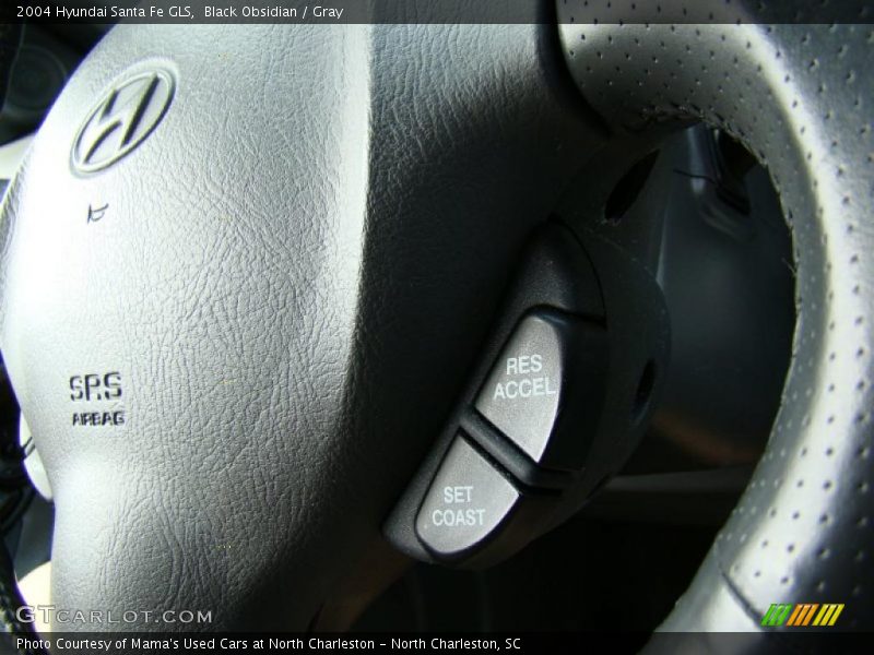 Black Obsidian / Gray 2004 Hyundai Santa Fe GLS