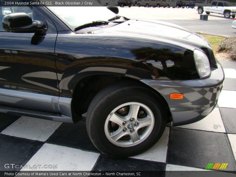 Black Obsidian / Gray 2004 Hyundai Santa Fe GLS