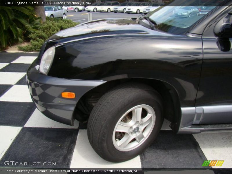 Black Obsidian / Gray 2004 Hyundai Santa Fe GLS