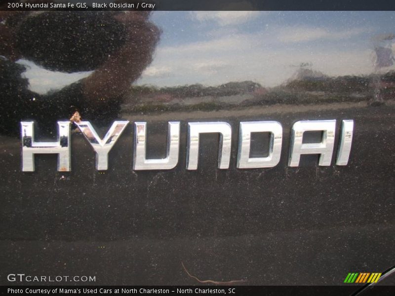 Black Obsidian / Gray 2004 Hyundai Santa Fe GLS