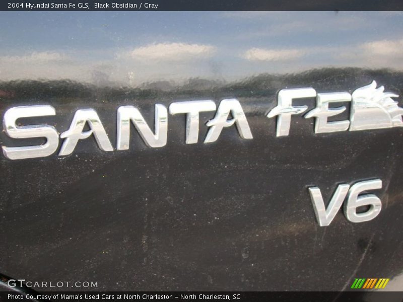 Black Obsidian / Gray 2004 Hyundai Santa Fe GLS