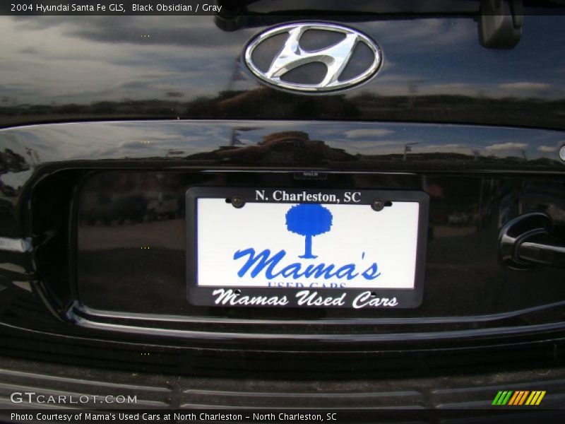 Black Obsidian / Gray 2004 Hyundai Santa Fe GLS