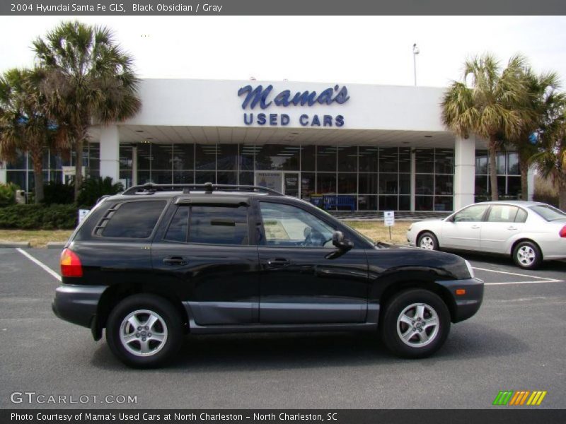 Black Obsidian / Gray 2004 Hyundai Santa Fe GLS