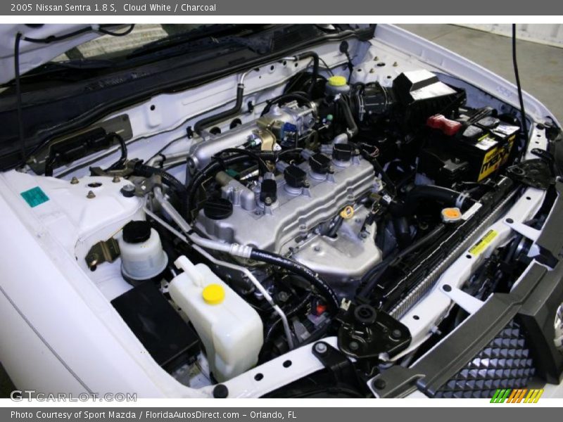 Cloud White / Charcoal 2005 Nissan Sentra 1.8 S