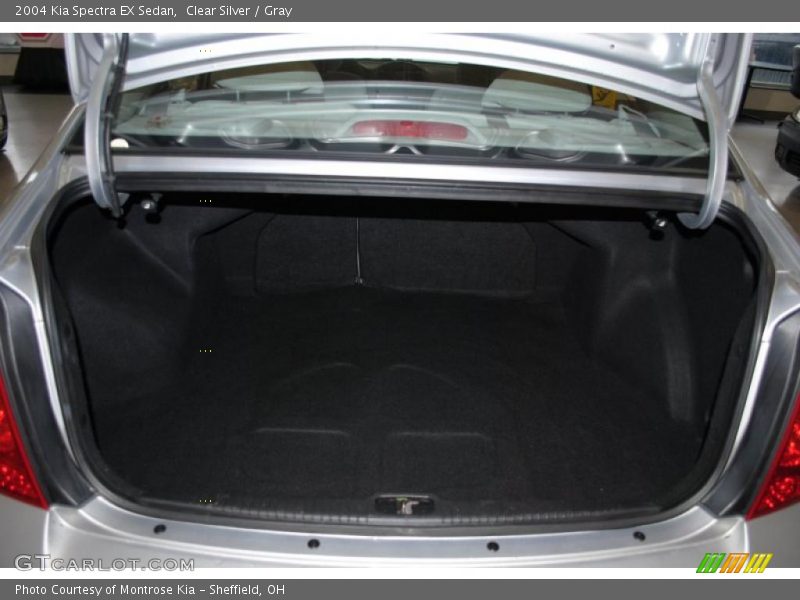 Clear Silver / Gray 2004 Kia Spectra EX Sedan