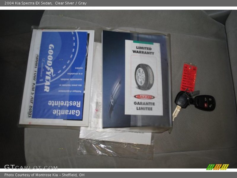 Clear Silver / Gray 2004 Kia Spectra EX Sedan