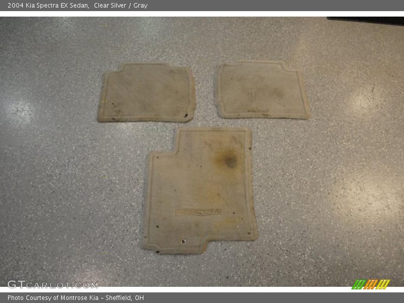 Clear Silver / Gray 2004 Kia Spectra EX Sedan