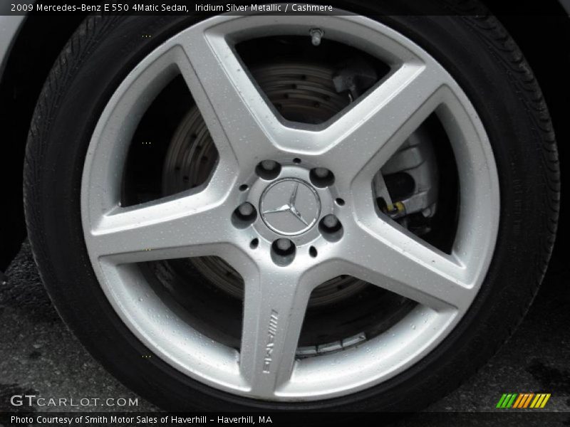 Iridium Silver Metallic / Cashmere 2009 Mercedes-Benz E 550 4Matic Sedan