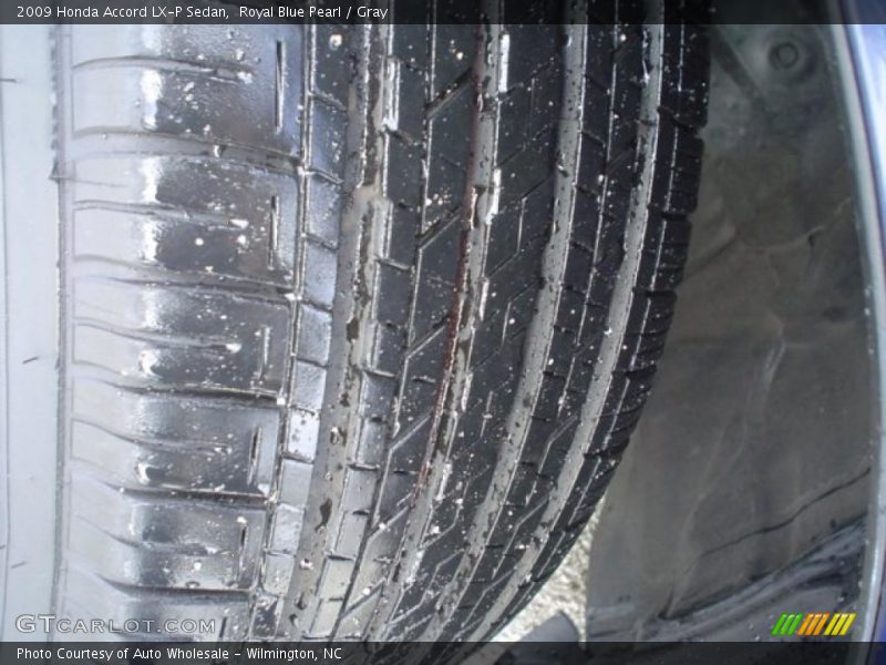 Royal Blue Pearl / Gray 2009 Honda Accord LX-P Sedan