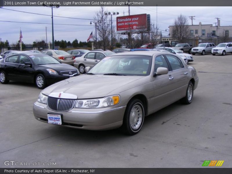 Light Parchment Gold Metallic / Light Parchment 2001 Lincoln Town Car Executive