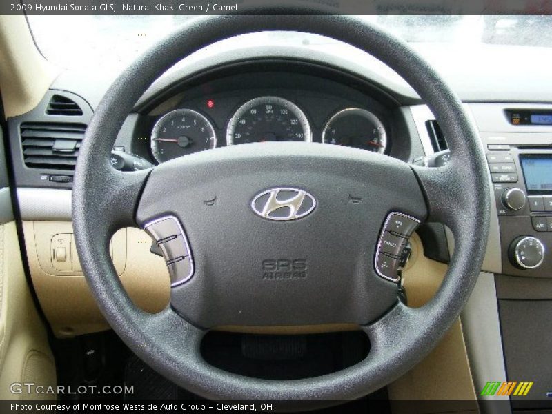 Natural Khaki Green / Camel 2009 Hyundai Sonata GLS