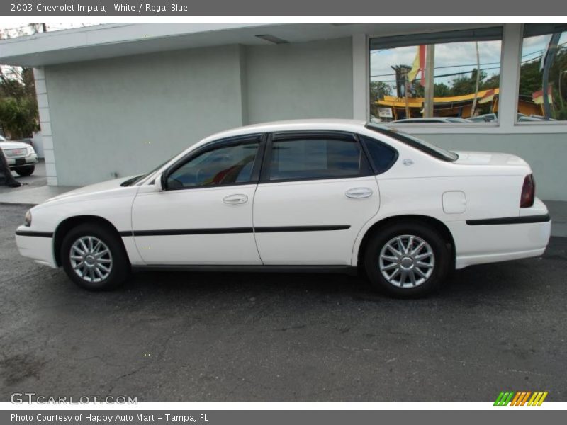 White / Regal Blue 2003 Chevrolet Impala