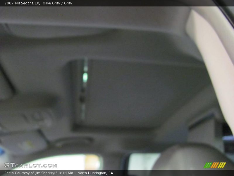 Olive Gray / Gray 2007 Kia Sedona EX