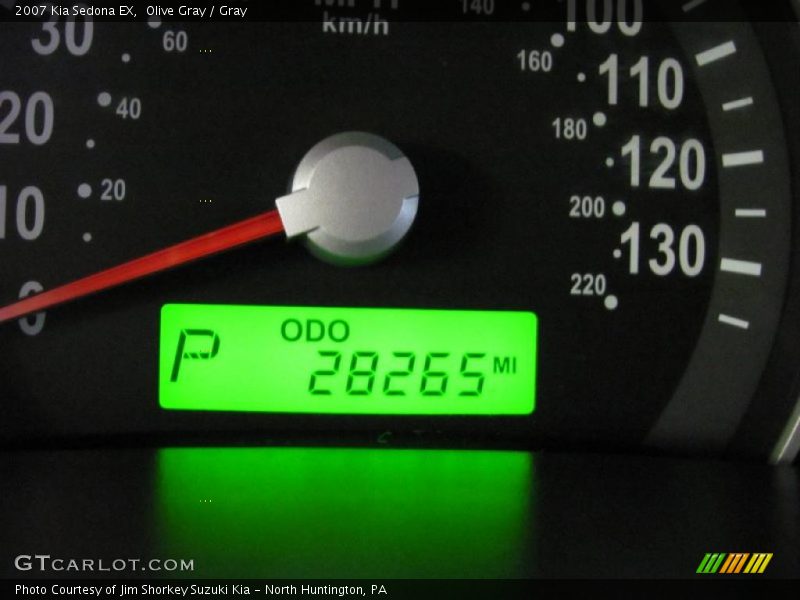 Olive Gray / Gray 2007 Kia Sedona EX