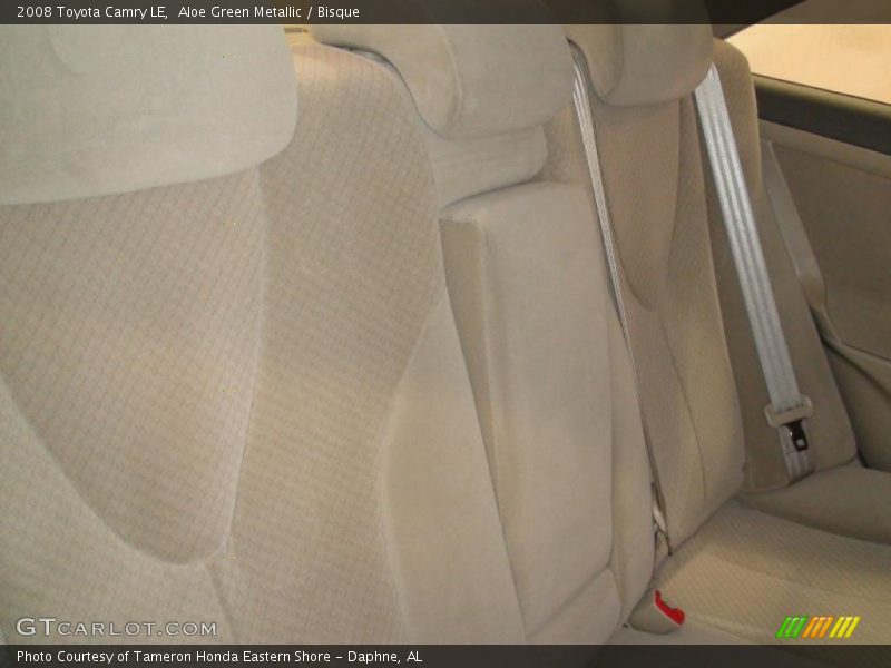 Aloe Green Metallic / Bisque 2008 Toyota Camry LE