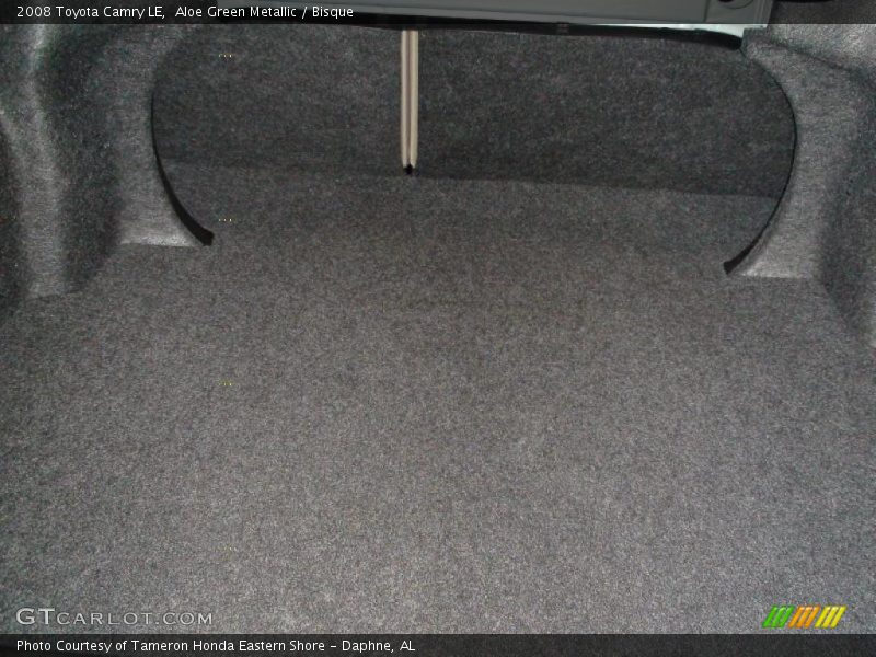 Aloe Green Metallic / Bisque 2008 Toyota Camry LE