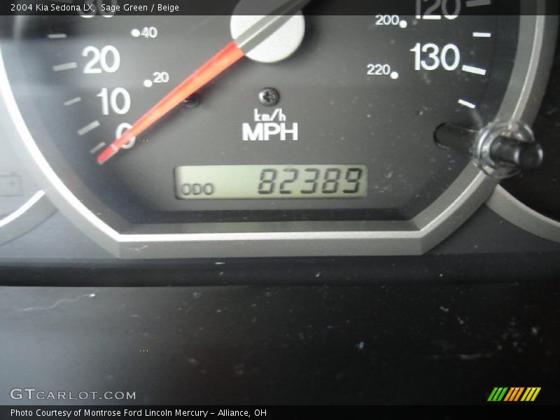 Sage Green / Beige 2004 Kia Sedona LX