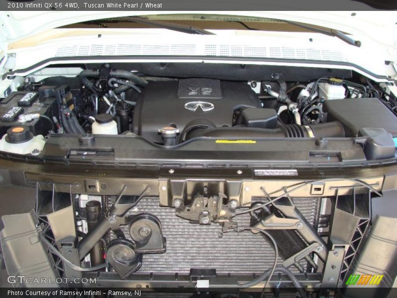 Tuscan White Pearl / Wheat 2010 Infiniti QX 56 4WD