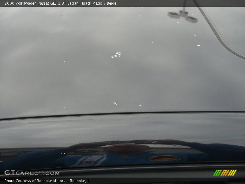 Black Magic / Beige 2000 Volkswagen Passat GLS 1.8T Sedan
