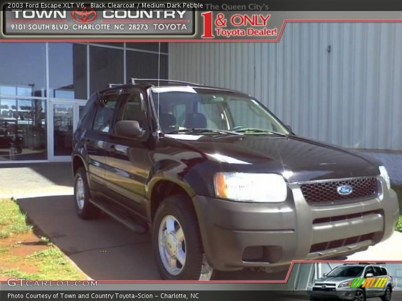 Black Clearcoat / Medium Dark Pebble 2003 Ford Escape XLT V6