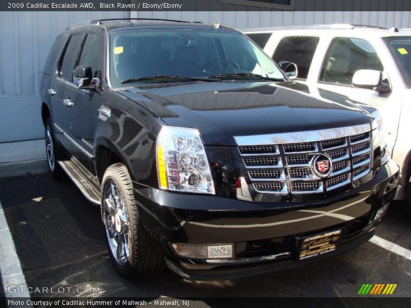 Black Raven / Ebony/Ebony 2009 Cadillac Escalade AWD