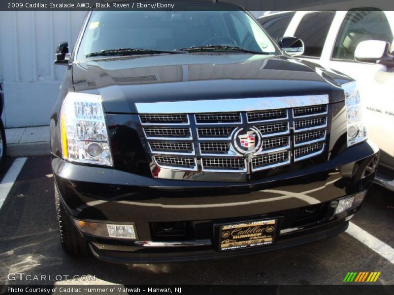 Black Raven / Ebony/Ebony 2009 Cadillac Escalade AWD