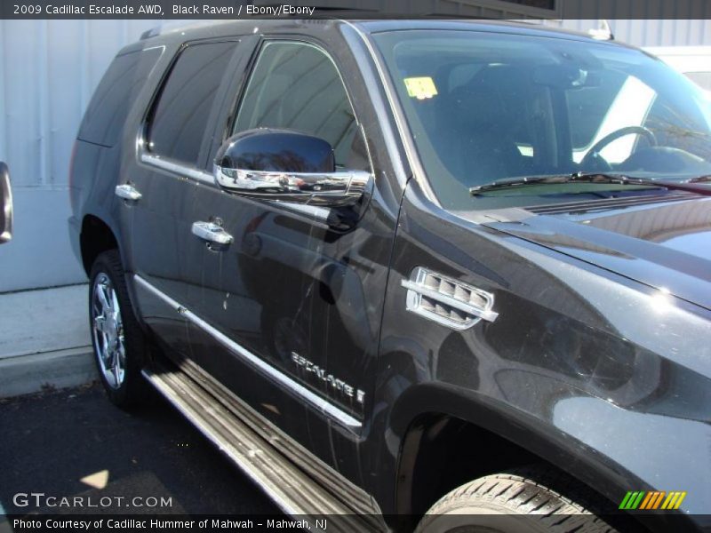 Black Raven / Ebony/Ebony 2009 Cadillac Escalade AWD