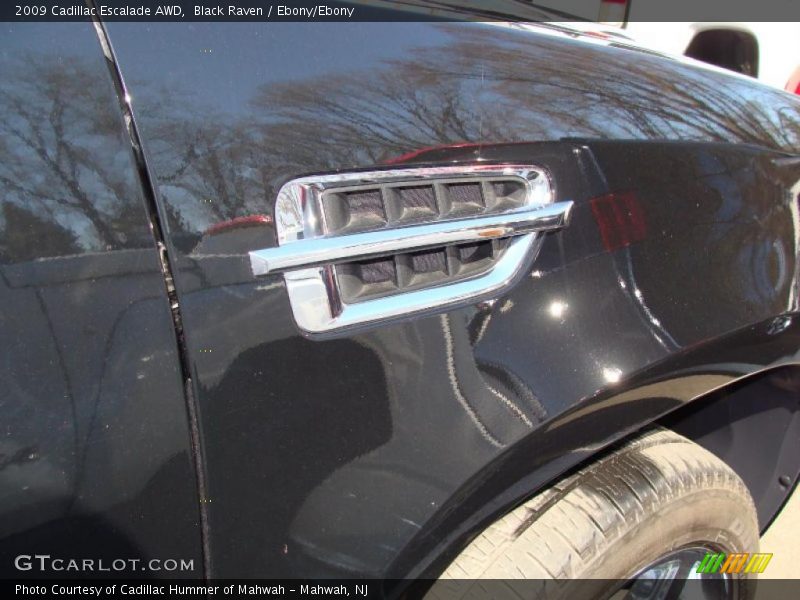 Black Raven / Ebony/Ebony 2009 Cadillac Escalade AWD