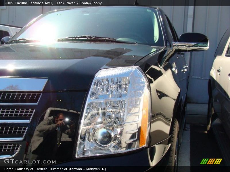 Black Raven / Ebony/Ebony 2009 Cadillac Escalade AWD
