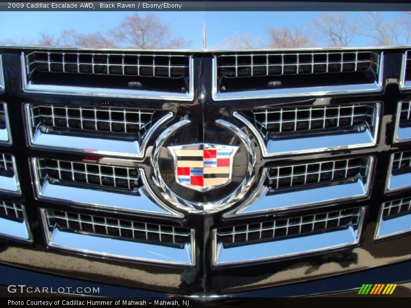 Black Raven / Ebony/Ebony 2009 Cadillac Escalade AWD