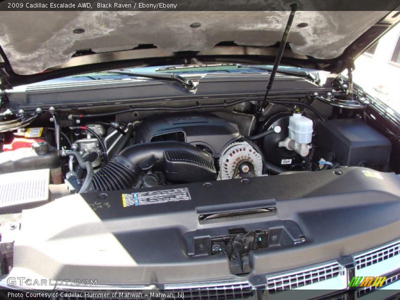 Black Raven / Ebony/Ebony 2009 Cadillac Escalade AWD