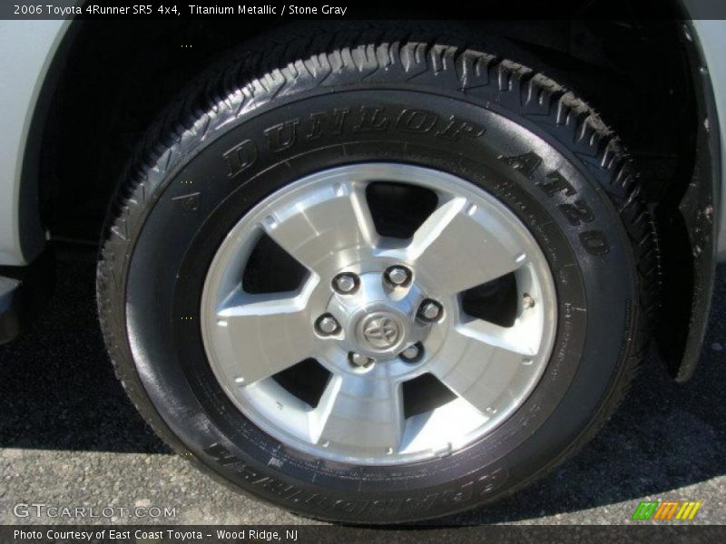 Titanium Metallic / Stone Gray 2006 Toyota 4Runner SR5 4x4