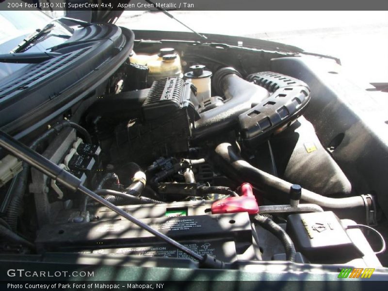 Aspen Green Metallic / Tan 2004 Ford F150 XLT SuperCrew 4x4