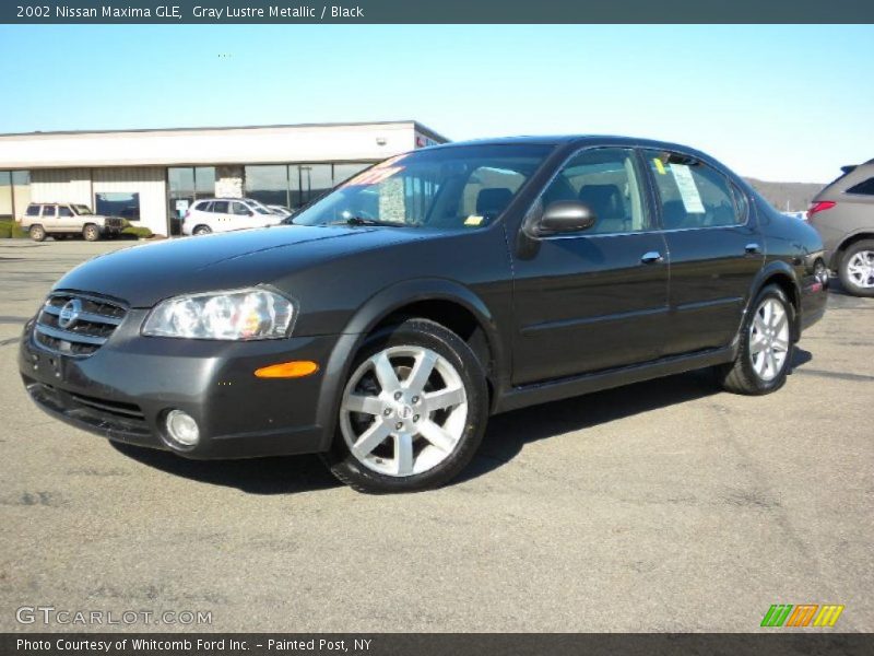 Gray Lustre Metallic / Black 2002 Nissan Maxima GLE