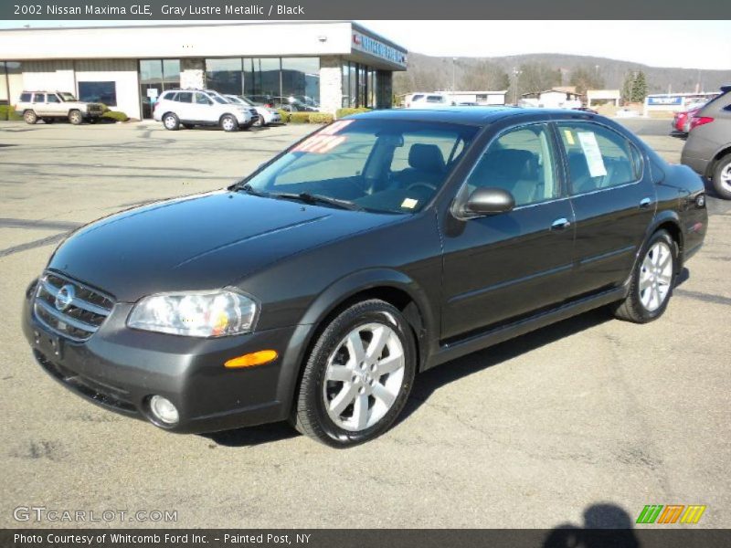 Gray Lustre Metallic / Black 2002 Nissan Maxima GLE