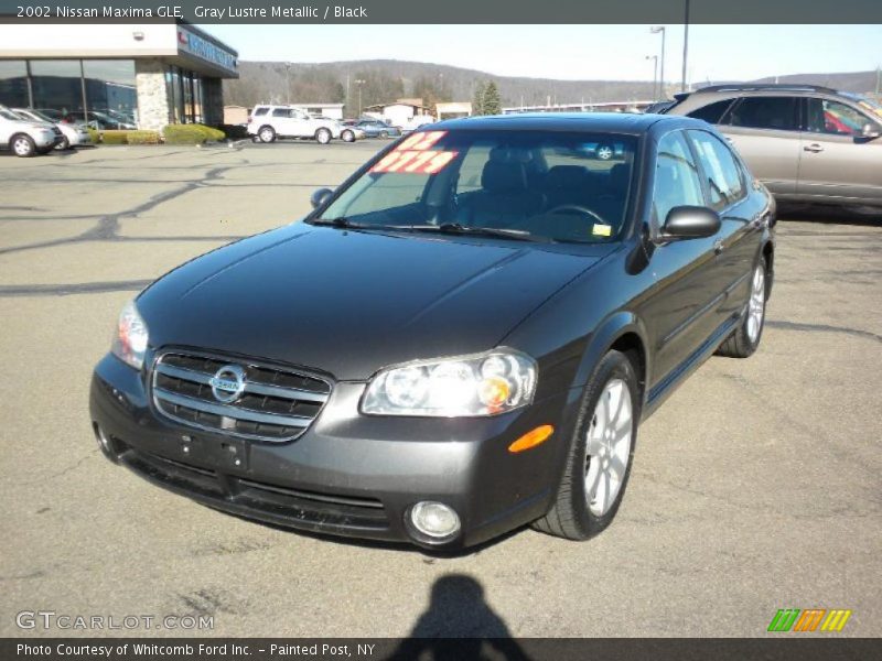 Gray Lustre Metallic / Black 2002 Nissan Maxima GLE