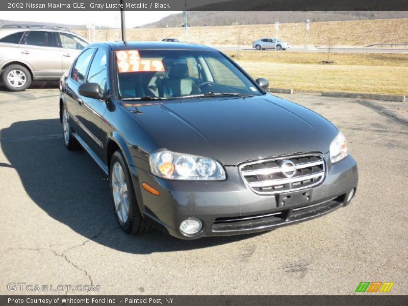 Gray Lustre Metallic / Black 2002 Nissan Maxima GLE