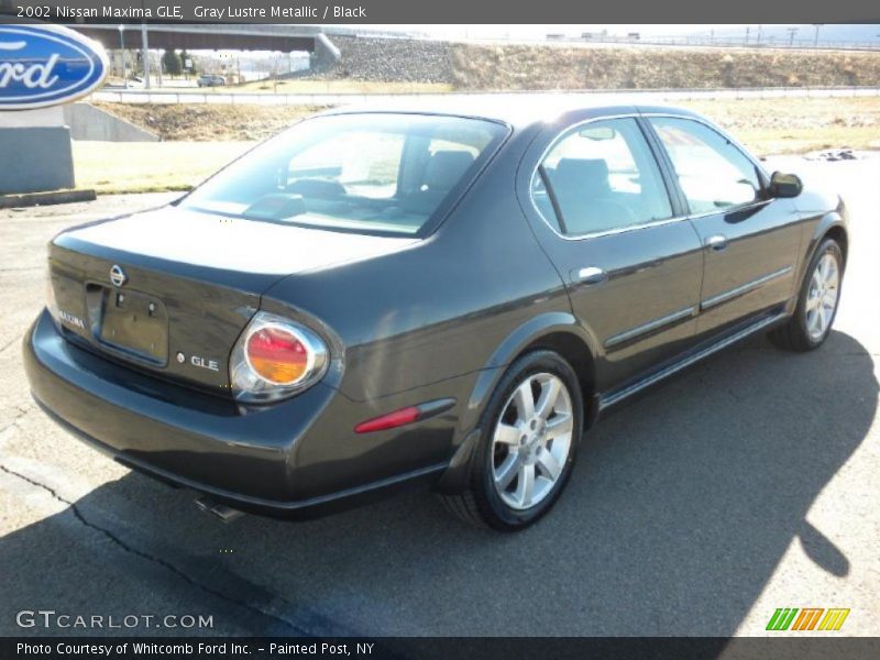 Gray Lustre Metallic / Black 2002 Nissan Maxima GLE