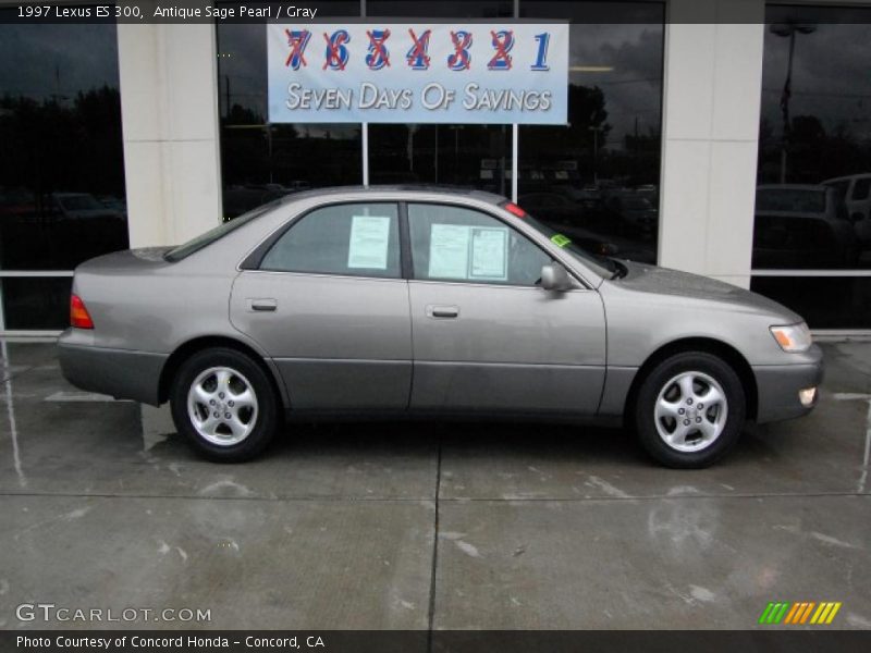 Antique Sage Pearl / Gray 1997 Lexus ES 300