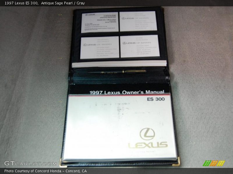 Antique Sage Pearl / Gray 1997 Lexus ES 300