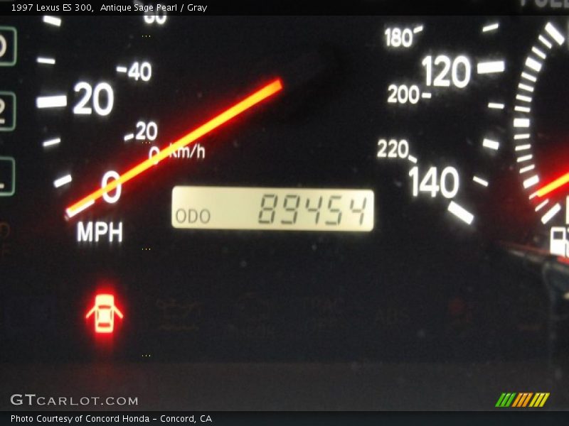 Antique Sage Pearl / Gray 1997 Lexus ES 300