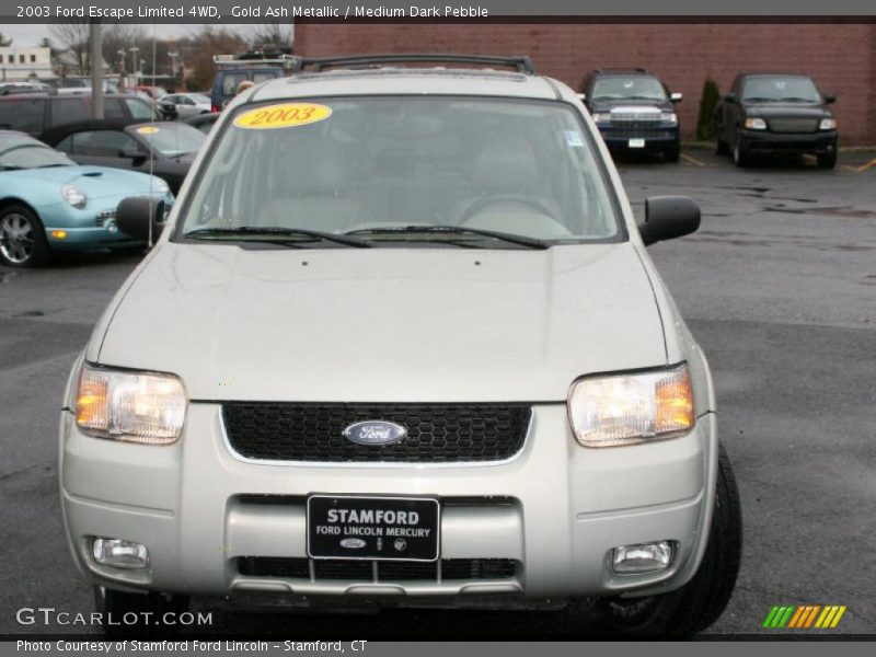 Gold Ash Metallic / Medium Dark Pebble 2003 Ford Escape Limited 4WD