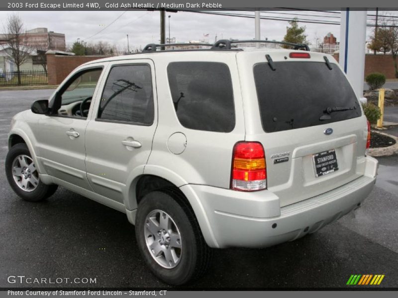 Gold Ash Metallic / Medium Dark Pebble 2003 Ford Escape Limited 4WD