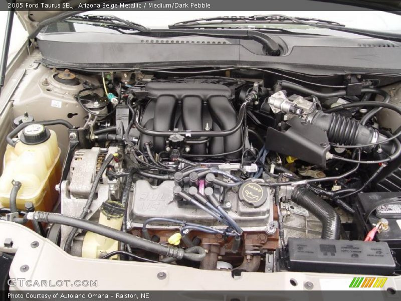 Arizona Beige Metallic / Medium/Dark Pebble 2005 Ford Taurus SEL
